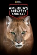 Americas.Greatest.Animals.2012.1080p.DSNP.WEBRip.DDP5.1.x264-pawel2006[TGx] ⭐