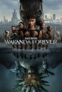 Black Panther Wakanda Forever 2022 BluRay 1080p DTS AC3 x264-MgB