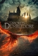 Fantastic Beasts The Secrets Of Dumbledore (2022) 720p WEBRip x264 AAC [ Hin,Eng ] ESub