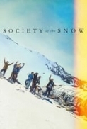 Society of the Snow (2023) (1080p NF WEB-DL x265 HEVC 10bit EAC3 5.1 Spanish Silence) [QxR]